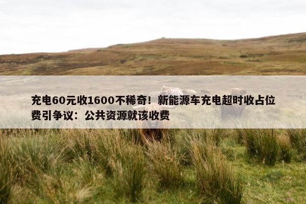 充电60元收1600不稀奇！新能源车充电超时收占位费引争议：公共资源就该收费