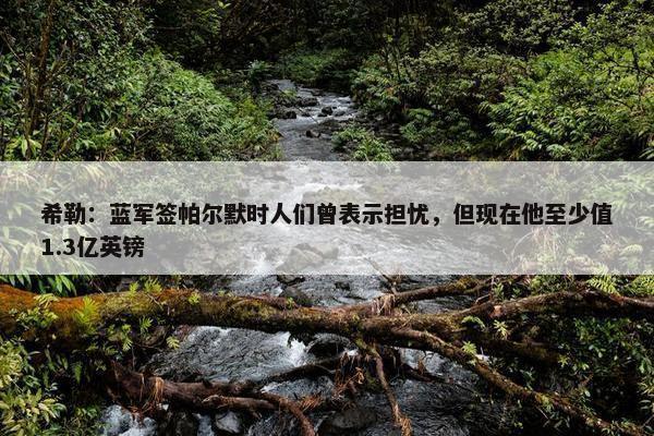 希勒：蓝军签帕尔默时人们曾表示担忧，但现在他至少值1.3亿英镑