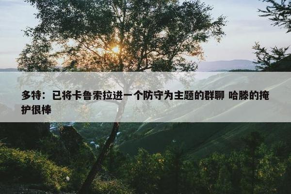 多特：已将卡鲁索拉进一个防守为主题的群聊 哈滕的掩护很棒