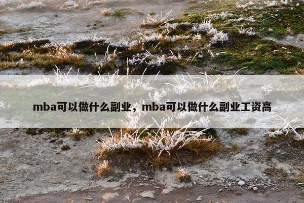 mba可以做什么副业，mba可以做什么副业工资高