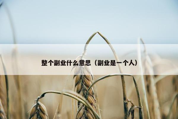 整个副业什么意思（副业是一个人）