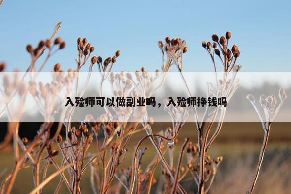 入殓师可以做副业吗，入殓师挣钱吗