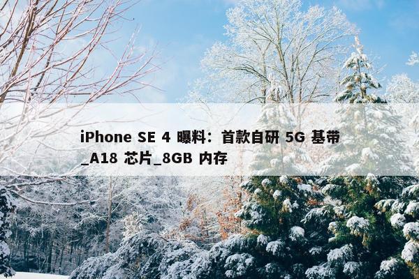 iPhone SE 4 曝料：首款自研 5G 基带_A18 芯片_8GB 内存