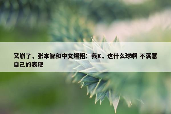 又崩了，张本智和中文爆粗：我X，这什么球啊 不满意自己的表现