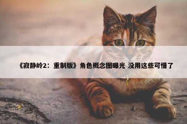 《寂静岭2：重制版》角色概念图曝光 没用这些可惜了