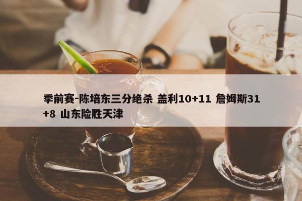 季前赛-陈培东三分绝杀 盖利10+11 詹姆斯31+8 山东险胜天津