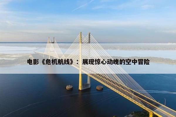 电影《危机航线》：展现惊心动魄的空中冒险