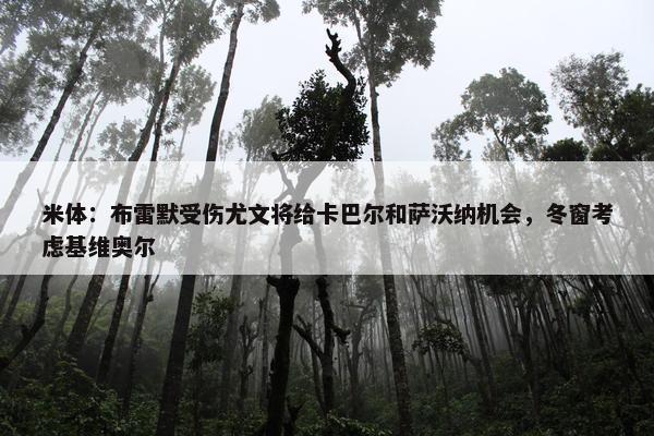 米体：布雷默受伤尤文将给卡巴尔和萨沃纳机会，冬窗考虑基维奥尔