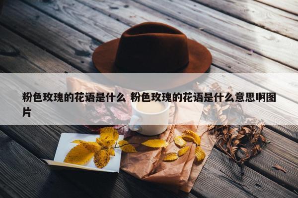 粉色玫瑰的花语是什么 粉色玫瑰的花语是什么意思啊图片