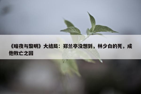 《暗夜与黎明》大结局：郑兰亭没想到，林少白的死，成他败亡之因