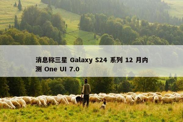 消息称三星 Galaxy S24 系列 12 月内测 One UI 7.0