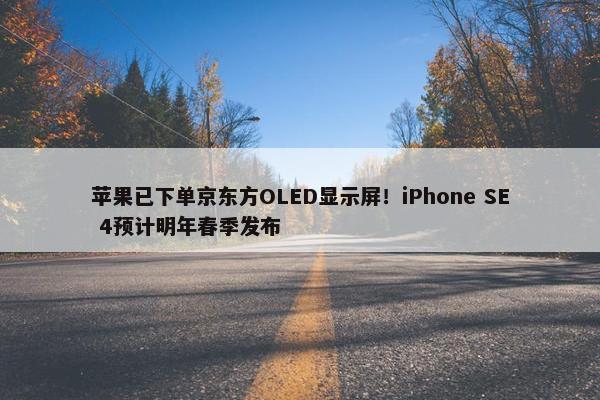 苹果已下单京东方OLED显示屏！iPhone SE 4预计明年春季发布