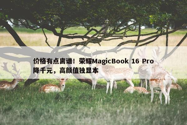 价格有点离谱！荣耀MagicBook 16 Pro降千元，高颜值独显本