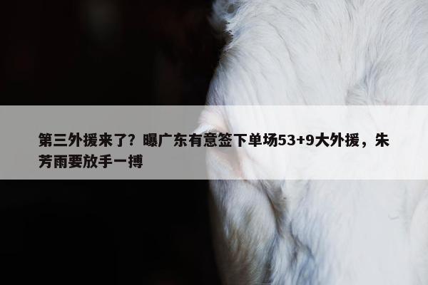 第三外援来了？曝广东有意签下单场53+9大外援，朱芳雨要放手一搏