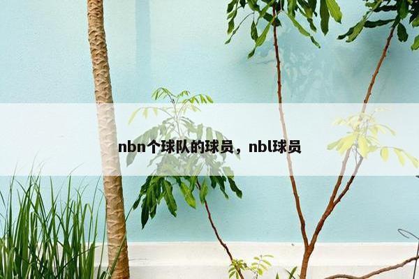 nbn个球队的球员，nbl球员