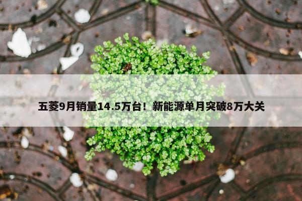 五菱9月销量14.5万台！新能源单月突破8万大关