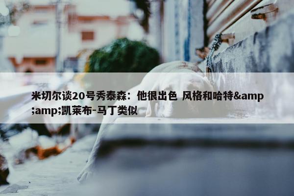 米切尔谈20号秀泰森：他很出色 风格和哈特&amp;凯莱布-马丁类似