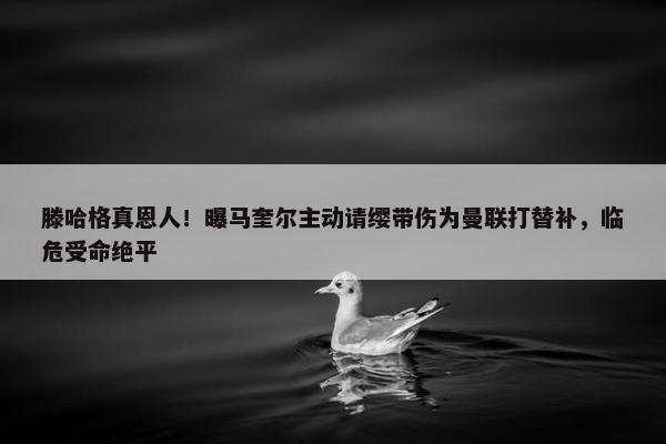 滕哈格真恩人！曝马奎尔主动请缨带伤为曼联打替补，临危受命绝平