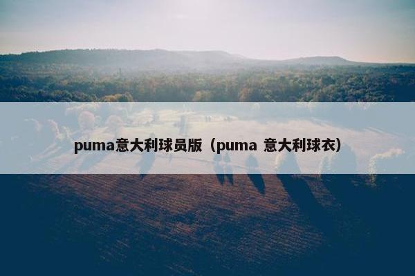 puma意大利球员版（puma 意大利球衣）