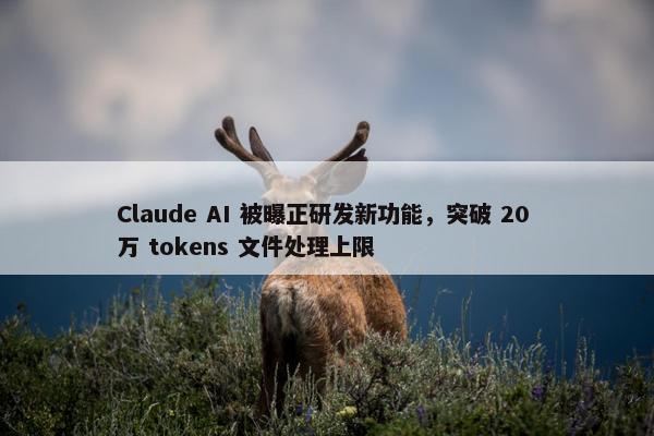 Claude AI 被曝正研发新功能，突破 20 万 tokens 文件处理上限