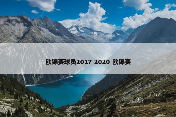 欧锦赛球员2017 2020 欧锦赛