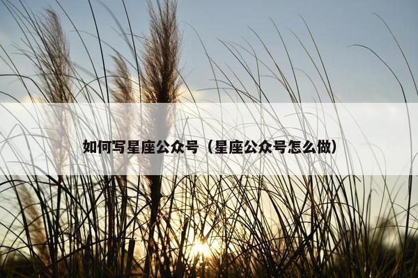 如何写星座公众号（星座公众号怎么做）