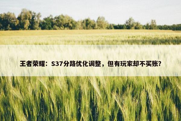 王者荣耀：S37分路优化调整，但有玩家却不买账？