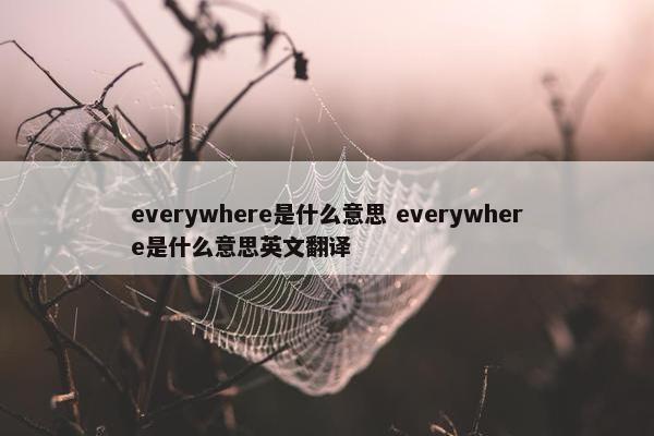 everywhere是什么意思 everywhere是什么意思英文翻译