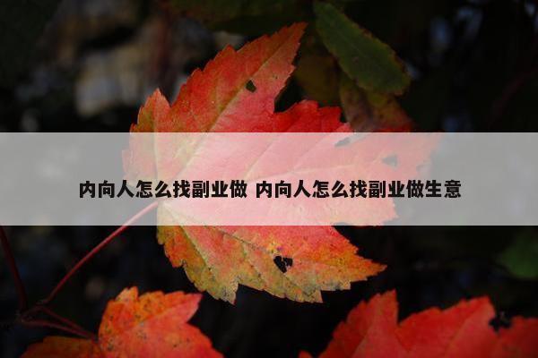 内向人怎么找副业做 内向人怎么找副业做生意