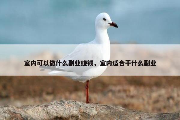 室内可以做什么副业赚钱，室内适合干什么副业