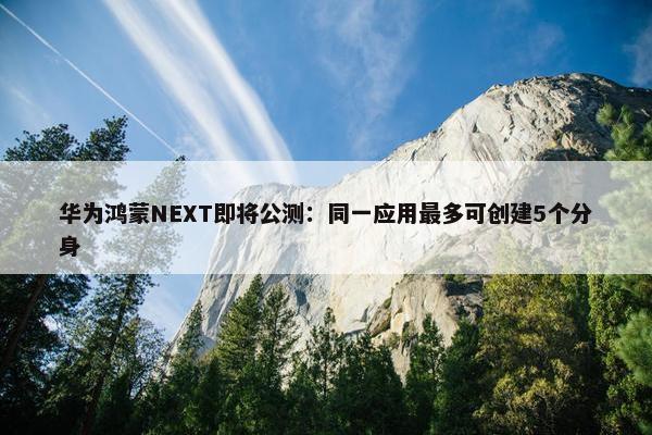 华为鸿蒙NEXT即将公测：同一应用最多可创建5个分身