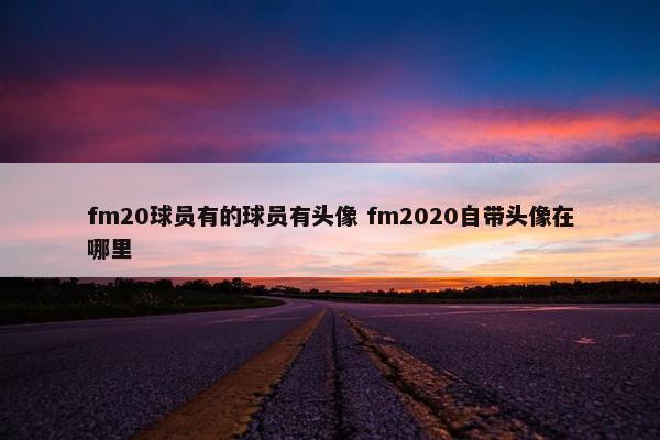 fm20球员有的球员有头像 fm2020自带头像在哪里