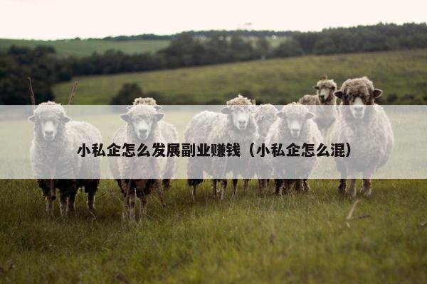 小私企怎么发展副业赚钱（小私企怎么混）