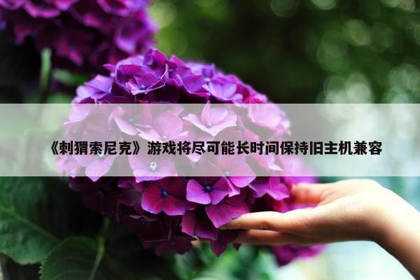 《刺猬索尼克》游戏将尽可能长时间保持旧主机兼容