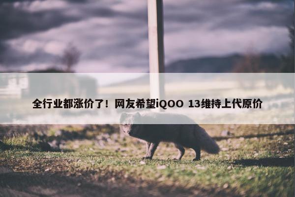 全行业都涨价了！网友希望iQOO 13维持上代原价