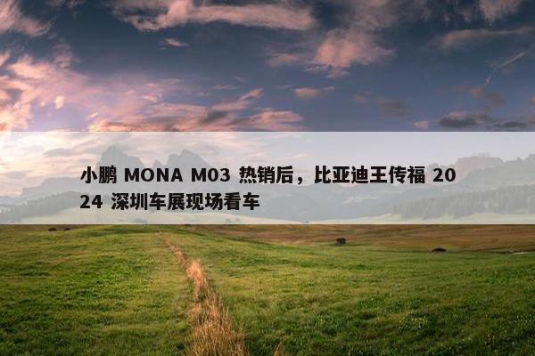 小鹏 MONA M03 热销后，比亚迪王传福 2024 深圳车展现场看车