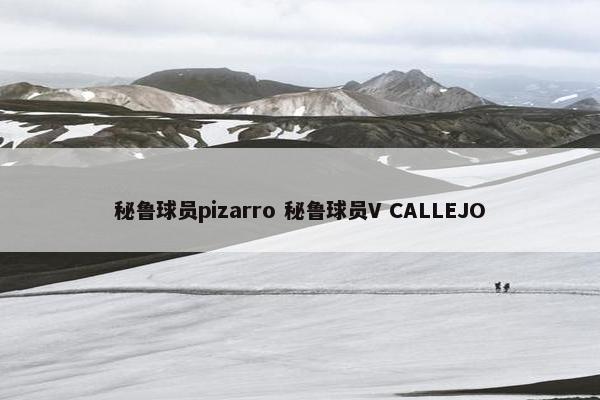 秘鲁球员pizarro 秘鲁球员V CALLEJO