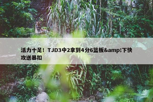 活力十足！TJD3中2拿到4分6篮板&下快攻送暴扣