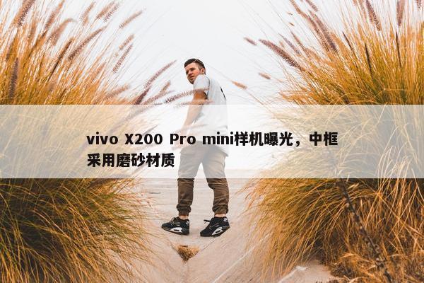 vivo X200 Pro mini样机曝光，中框采用磨砂材质