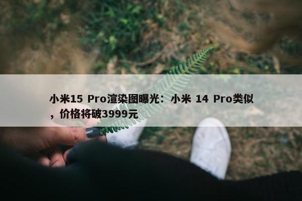 小米15 Pro渲染图曝光：小米 14 Pro类似，价格将破3999元