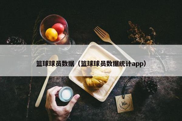 篮球球员数据（篮球球员数据统计app）