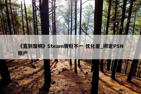 《直到黎明》Steam褒贬不一 优化差_绑定PSN账户