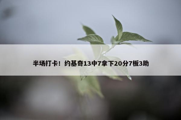 半场打卡！约基奇13中7拿下20分7板3助