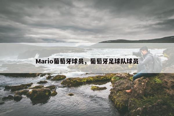 Mario葡萄牙球员，葡萄牙足球队球员