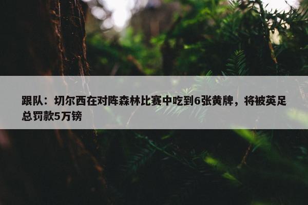 跟队：切尔西在对阵森林比赛中吃到6张黄牌，将被英足总罚款5万镑