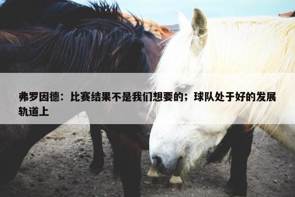 弗罗因德：比赛结果不是我们想要的；球队处于好的发展轨道上