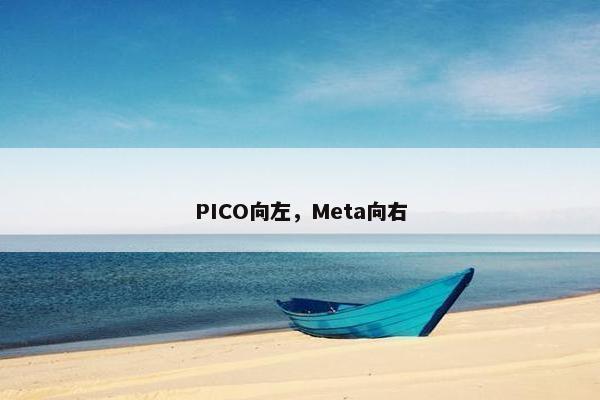 PICO向左，Meta向右