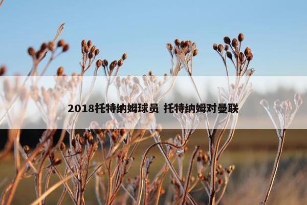 2018托特纳姆球员 托特纳姆对曼联