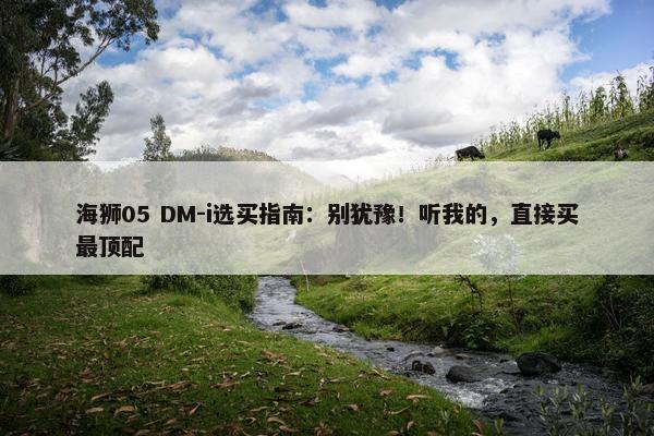 海狮05 DM-i选买指南：别犹豫！听我的，直接买最顶配