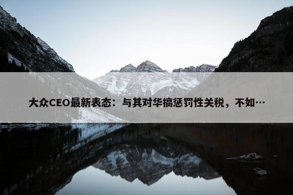 大众CEO最新表态：与其对华搞惩罚性关税，不如…